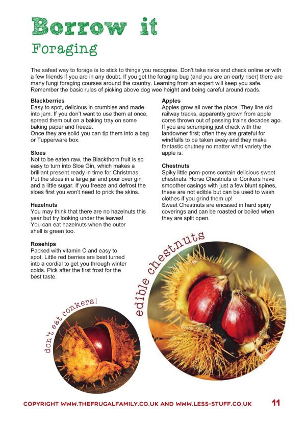 Eco-Friendly Autumn Workbook Printable PDF