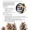 Eco-Friendly Autumn Workbook Printable PDF
