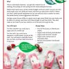Sustainable Summer Worksheet Pack Printable PDF