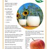 Sustainable Summer Worksheet Pack Printable PDF