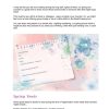 Spring into Action PDF Workbook