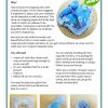 Sustainable Summer Worksheet Pack Printable PDF